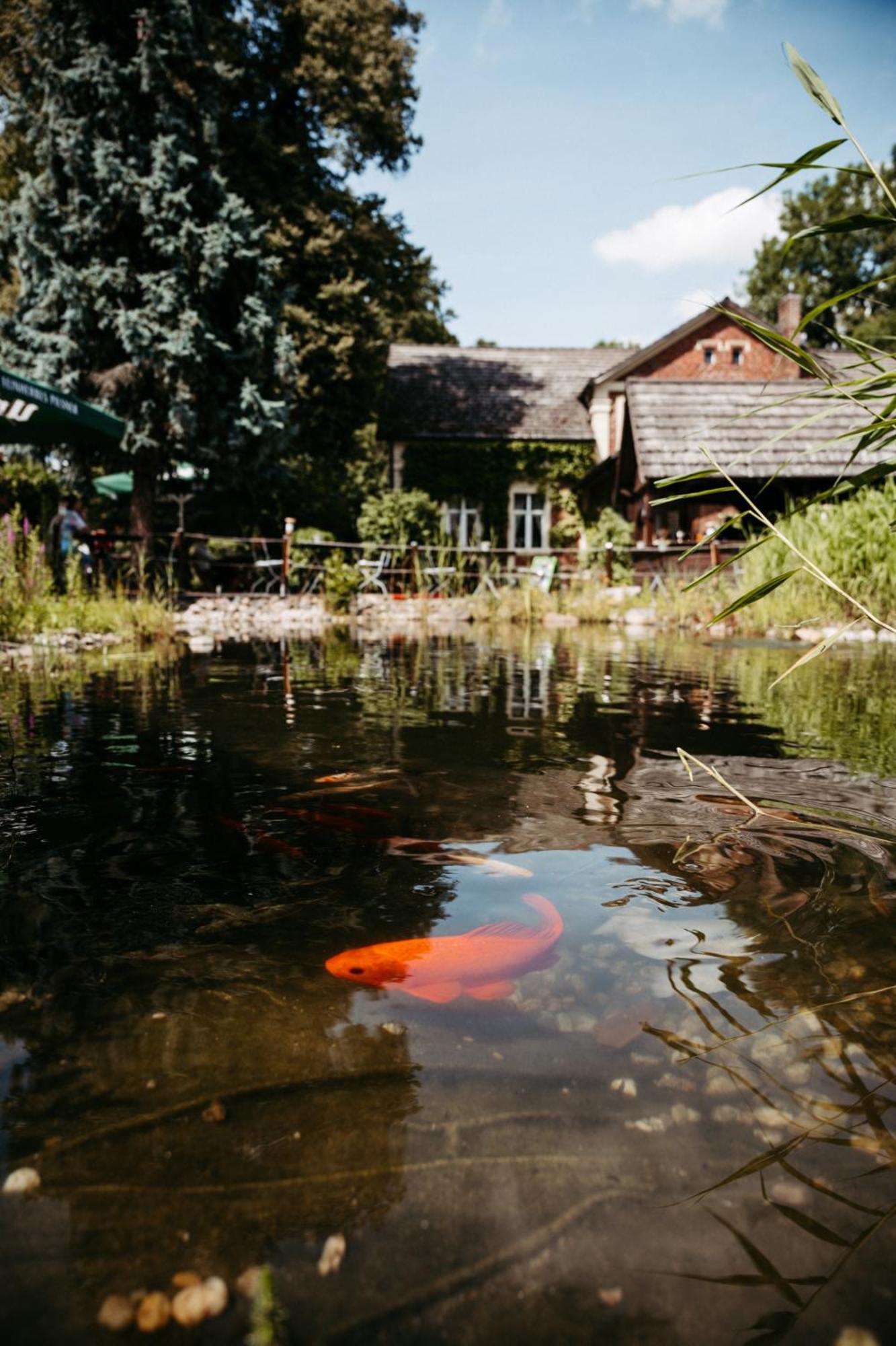Hotel Kolonieschanke Бург Экстерьер фото